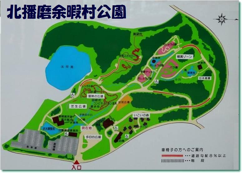 妙見スカイローラー全長253mの巨大滑り台_b0036638_6251462.jpg