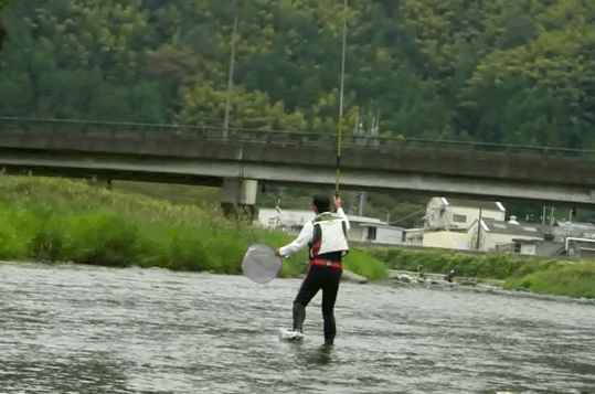 a0056140_031534.gif