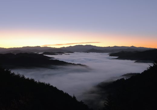 風景　野迫川雲海_a0287347_912929.jpg