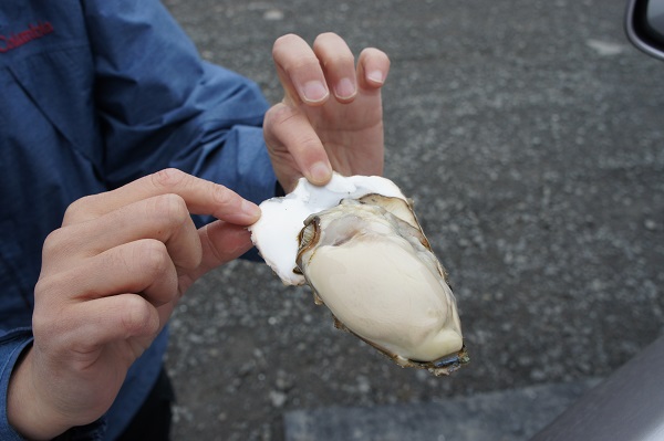 釧路・車椅子旅行（厚岸で牡蠣を食べる！）_d0269651_08141468.jpg