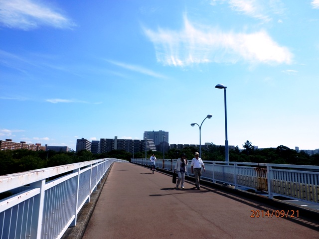 なんていい天気!_e0074955_12302290.jpg