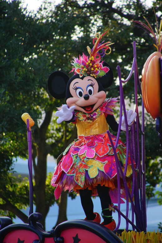 ディズニーランド_f0256256_19491056.jpg