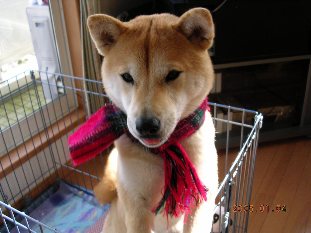 ’14,9,22(月)青春時代の愛ちゃん!_f0060461_5564283.jpg