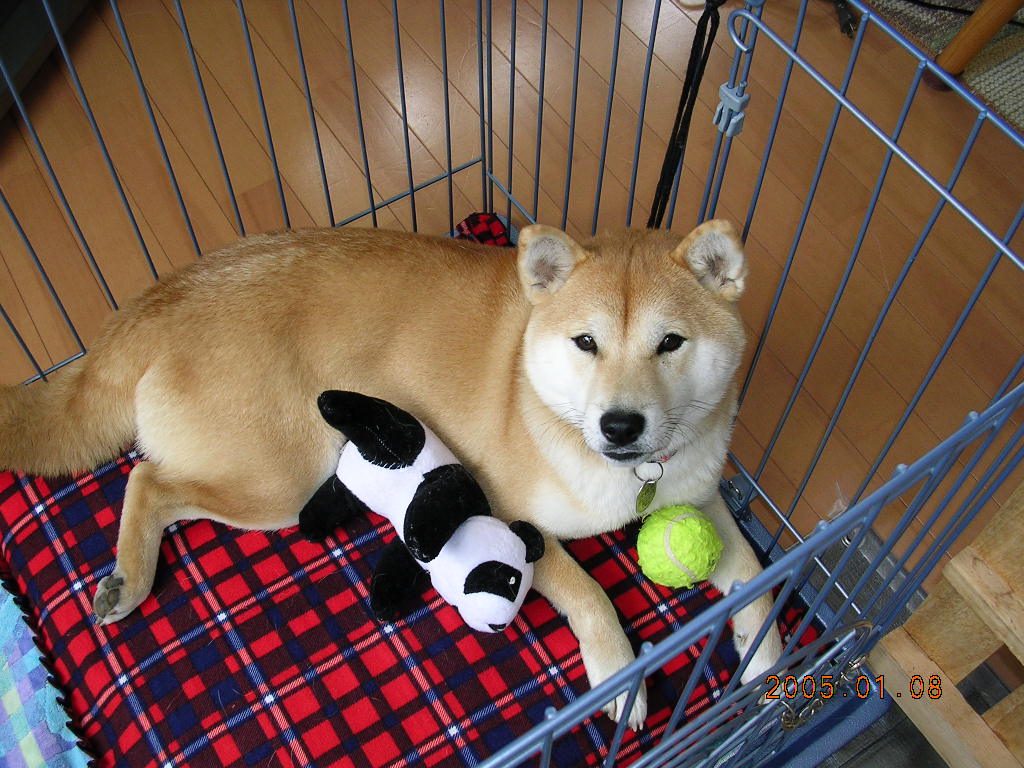 ’14,9,22(月)青春時代の愛ちゃん!_f0060461_6183329.jpg