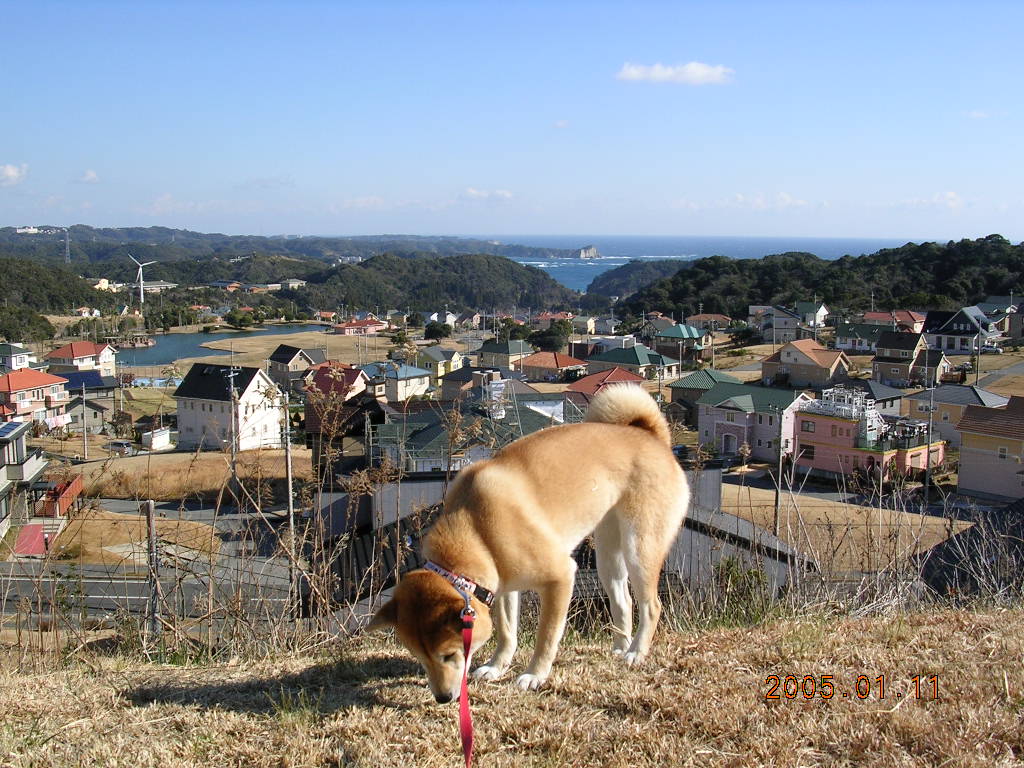 ’14,9,22(月)青春時代の愛ちゃん!_f0060461_6204363.jpg