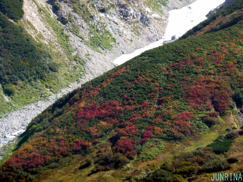 d0110562_08081688.jpg