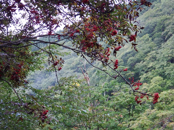 e0225164_111405.jpg