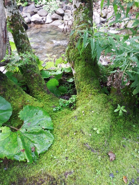 e0225164_1135690.jpg