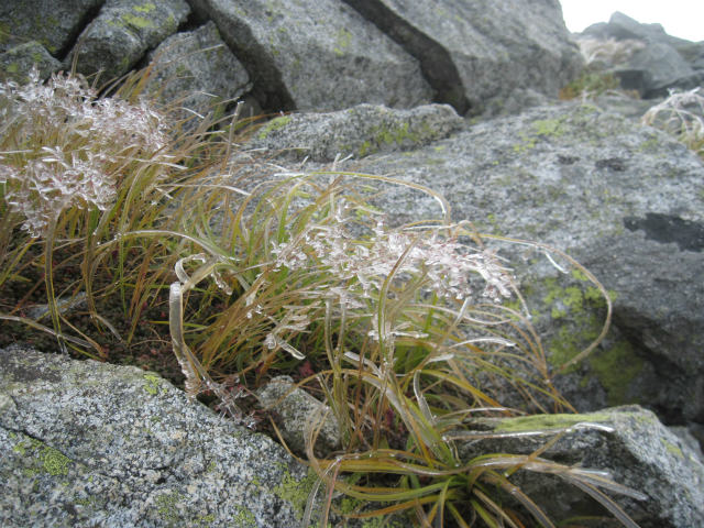 c0219866_14344622.jpg