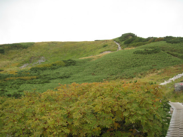 c0219866_14471774.jpg