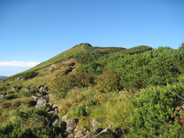 c0219866_14554095.jpg