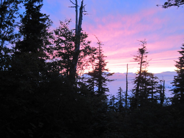 c0219866_15125119.jpg