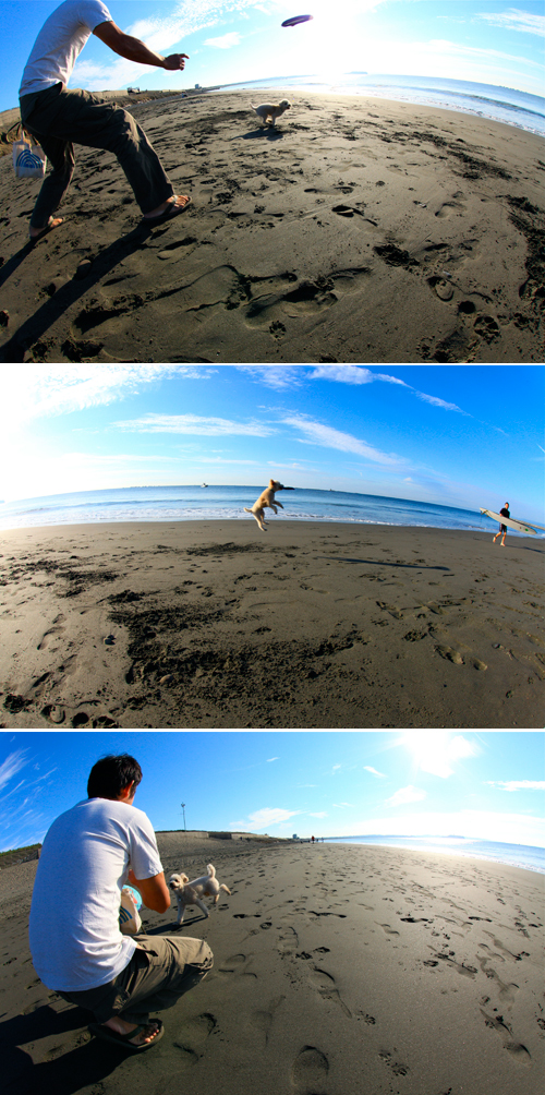 2014/09/21(SUN) 澄渡る青空と海........。_a0157069_723781.jpg