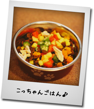 a0232774_1195114.png