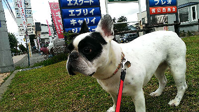 b0056476_15083596.jpg