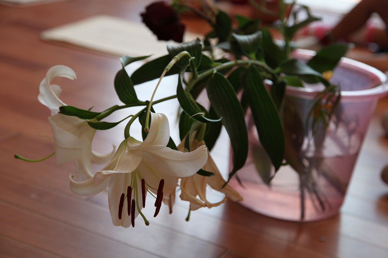 スポーツの秋・芸術の秋_b0277979_18185528.jpg