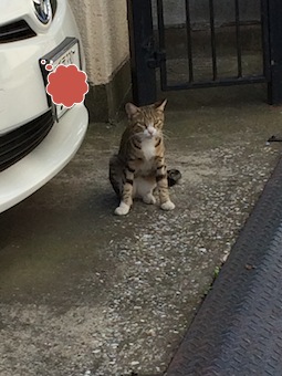 新検見川幼稚園でのキッズケア_a0191183_17454489.jpg
