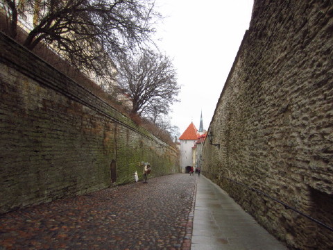 c0180096_15254329.jpg