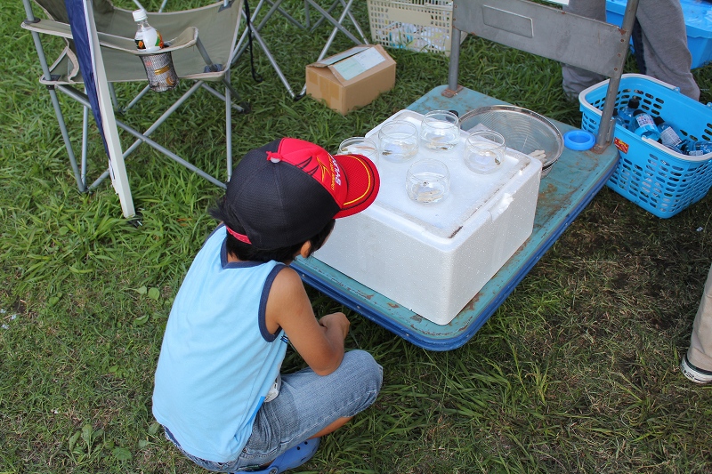 c0204298_1926310.jpg