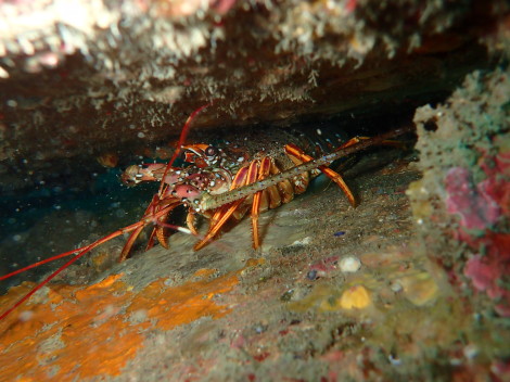 e0115199_18403821.jpg