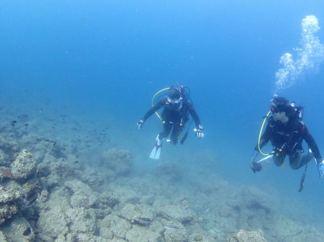 9/13-14　能登島イルカツアー_e0115199_19510363.jpg