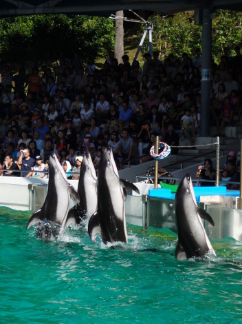 9/13-14　能登島イルカツアー_e0115199_20113382.jpg