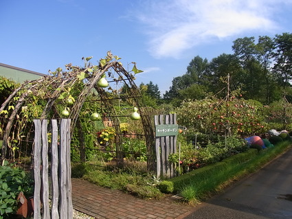 f0229399_2212139.jpg