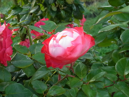 f0229399_22204268.jpg