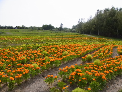 f0229399_222519100.jpg