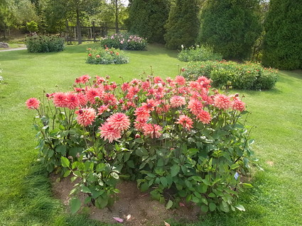 f0229399_2227933.jpg