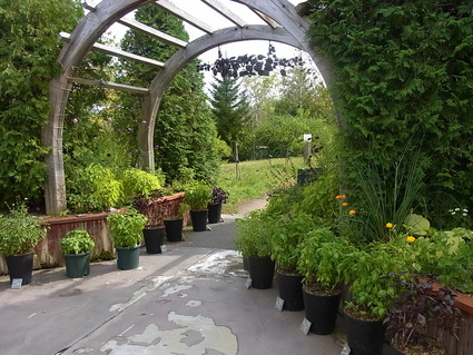 f0229399_22283246.jpg
