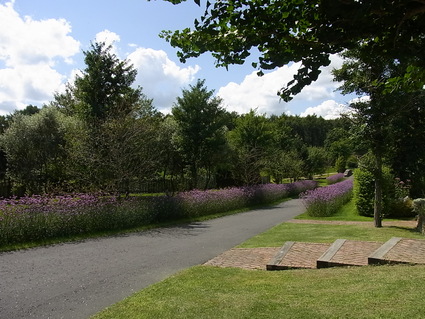 f0229399_22313379.jpg