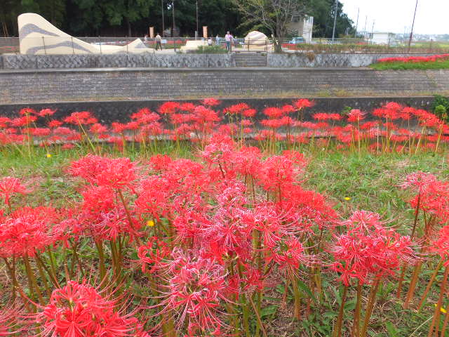 a0271502_16482391.jpg