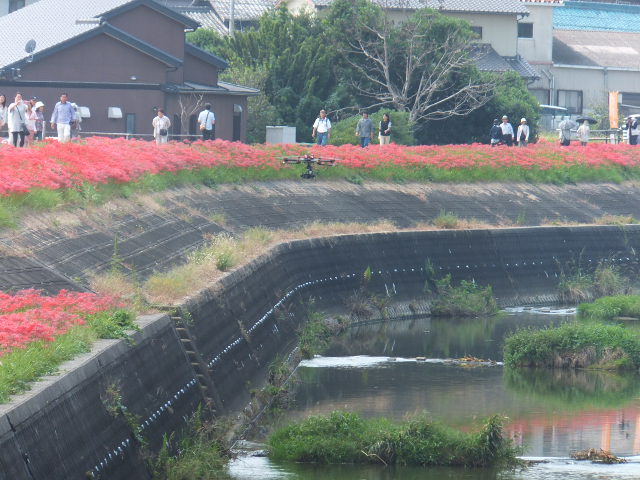 a0271502_16581378.jpg