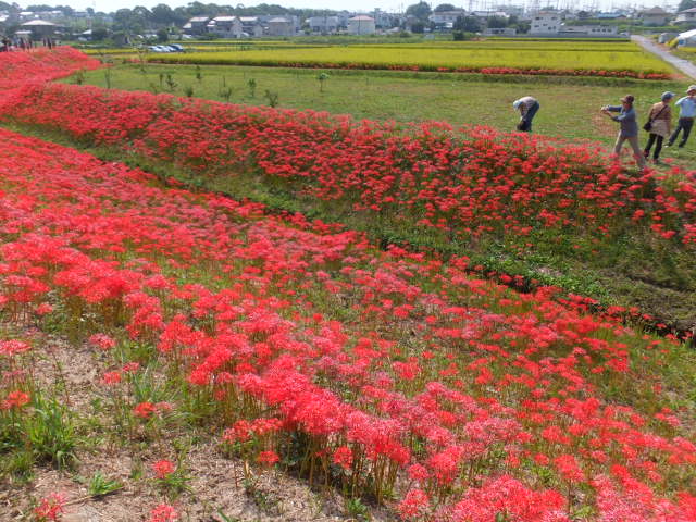 a0271502_1722274.jpg