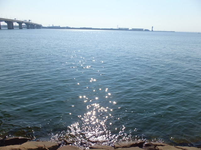 a0271502_17374723.jpg
