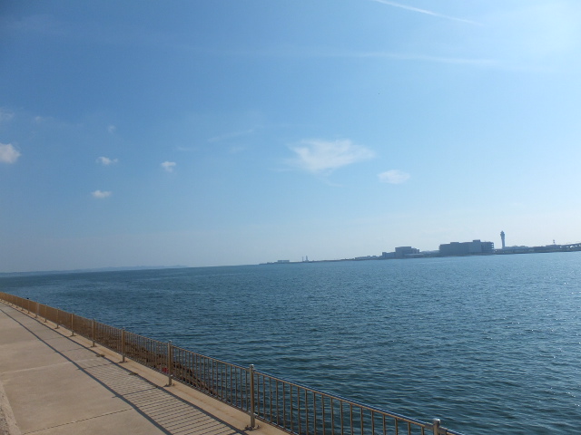 a0271502_1737840.jpg