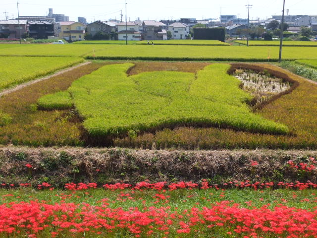 a0271502_177658.jpg