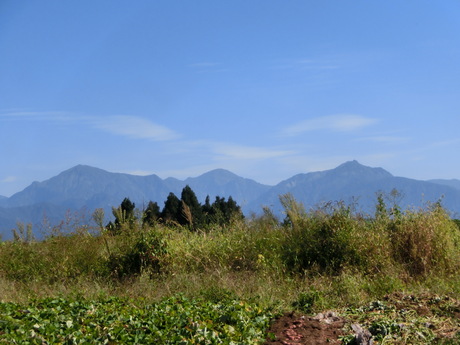 蕎麦の花・地芝居サミットの幟など_a0203003_16485368.jpg