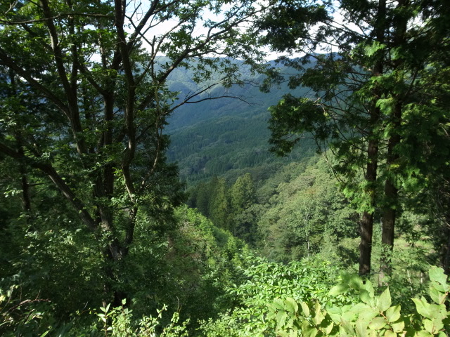 f0197703_975431.jpg