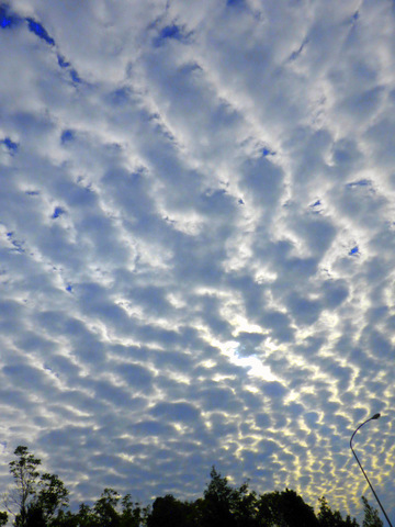 f0118904_1311338.jpg