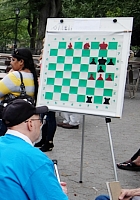  初秋のセントラルパークで大規模な青空チェス大会に遭遇_b0007805_20193110.jpg