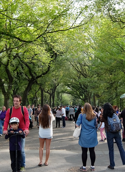 初秋のセントラルパークの巨大な並木道 The Mall_b0007805_21313067.jpg