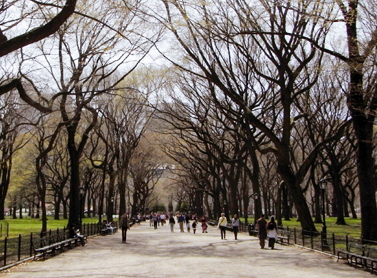 初秋のセントラルパークの巨大な並木道 The Mall_b0007805_2132350.jpg