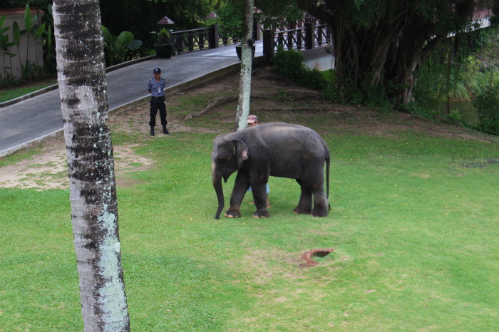 Banyan Tree Phuket Double Pool Villas バンヤンツリープーケットダブルプールヴィラス 弾丸旅行記 Try Anyway