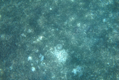 d0298808_15374088.jpg