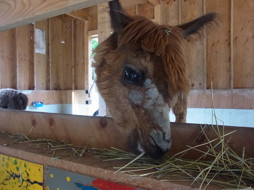 e0243008_10171653.jpg
