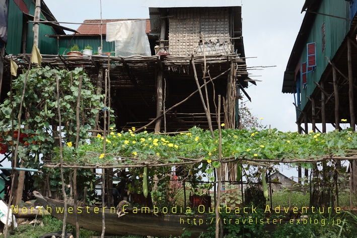 湖の水かさが10m増減する集落へ行く - Kampong Phluk -_b0108109_18131031.jpg