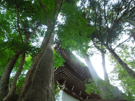 f0297809_02301.jpg