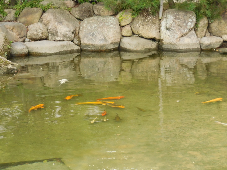 こうすけの えびす参り_b0305811_18382160.jpg